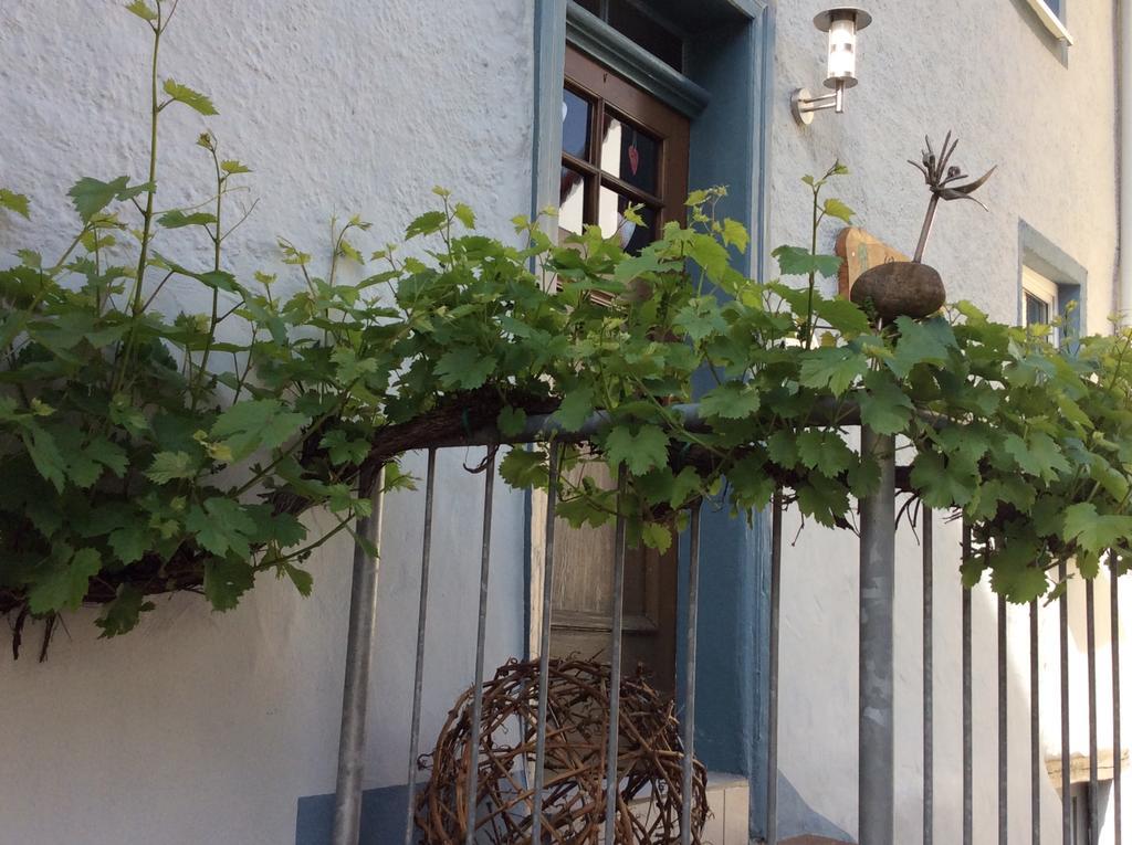 Winzerhaeuschen, Weingut Th. Mueller Apartment Reil Exterior photo